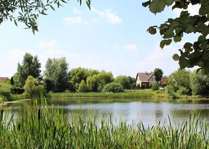 Проживание в семье U Gabi Битов